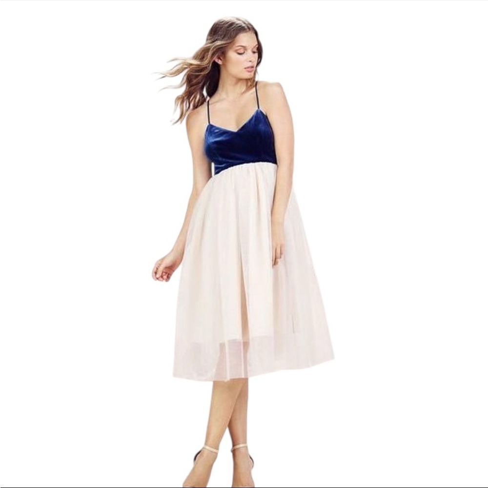 LC Lauren Conrad Navy Velvet and Cream Tulle Midi Dress